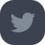 twitter icon footer